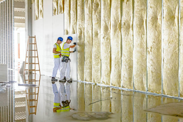 Best Local Insulation Services  in USA